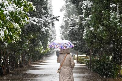  بارش باران و برف در کشور؛ هشدار سازمان هواشناسی برای چند استان