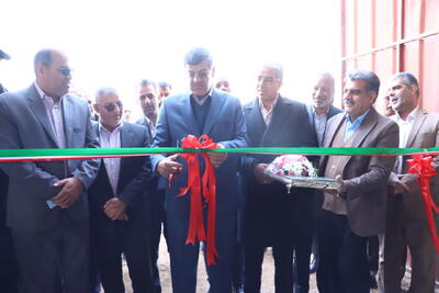  فاز نخست یک مگافارم دام سبک در مهریز افتتاح شد