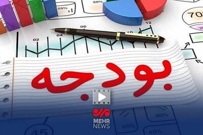  فلسفی: کاهش بودجه فرهنگی در مجلس جایگاهی ندارد