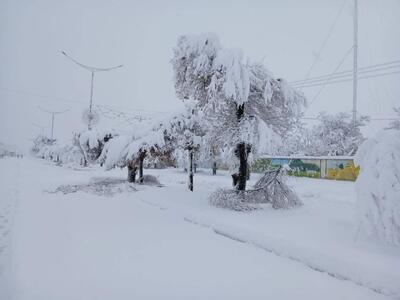  بارش برف و باران در راه آذربایجان‌شرقی؛ احتمال طغیان رودخانه‌ها