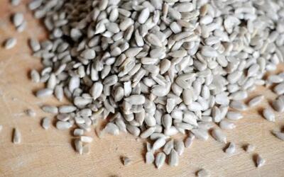  خواص شگفت ‌انگیز مغز تخمه آفتابگردان برای سلامت بدن و زیبایی پوست و مو