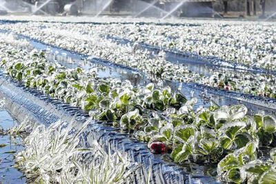  هشدار نارنجی هواشناسی برای کشاورزان نیمه غربی کشور