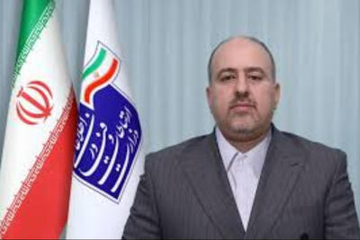  معاون وزیر ارتباطات: شبکه ملی اطلاعات جایگزین اینترنت نیست