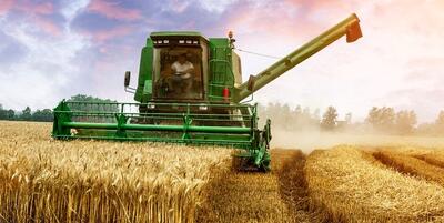  آخرین برآوردهای قیمت گندم؛ اطلاعیه مهم برای گندمکاران درباره نرخ احتمالی خرید تضمینی در فصل آینده