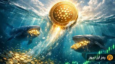  کاردانو از کف هفتگی برگشت! خرید ۱۵۰ میلیونی نهنگ‌ها ADA را تا کجا بالا می‌برد؟