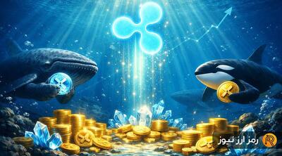  جهش ۲۰ درصدی ریپل با انباشت ۲۳۰ میلیونی نهنگ‌ها؛ هدف بعدی قیمت XRP کجاست؟