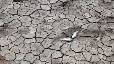  دریاچه ارومیه با وجود بارندگی ها از دست رفت / یک فاجعه‌ جهانی در سطح ملی  /  ۷۰ درصد تالاب‌ها خشک است/سازمان محیط زیست فقط خبر از دست رفته ها می دهد