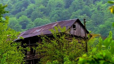  متناسب‌ سازی مستمری کشاورزان و روستاییان تا خرداد ۱۴۰۵ اجرایی می‌شود / افزایش میانگین ۸۰ درصدی مستمری‌ ها