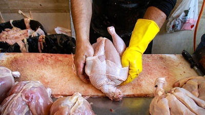  آخرین قیمت مرغ در بازار / سینه 350 ، فیله 400 هزار تومان