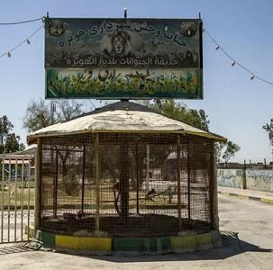  باغ‌وحش هویزه به دلیل وضعیت نامناسب بهداشتی و زیستی حیوانات پلمب شد