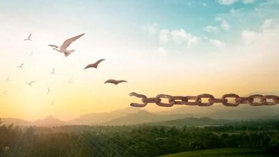  بخشش مردی که به خاطر دختر معتاد مرتکب قتل شد