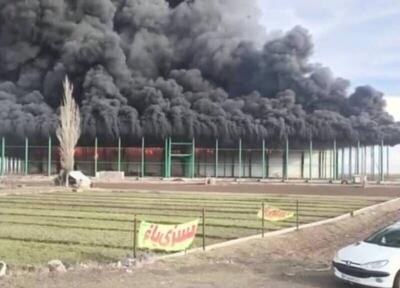  آتش سوزی گسترده کارخانه صنایع تبدیلی در اردبیل