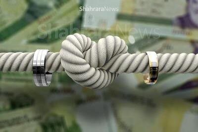  توضیحات نماینده مردم مشهد و کلات در مجلس شورای اسلامی درمورد وام ازدواج