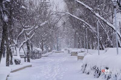  کدام استان‌های کشور برفی و بارانی می‌شوند؟