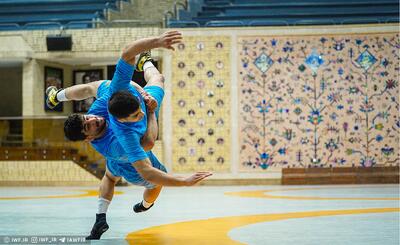  کشتی فرنگی رنکینگ کرواسی؛ عرفان جرکنی به مدال طلا دست یافت