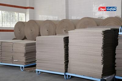  هزینه محدود کردن واردات کاغذ و مقوا را مردم می‌پردازند / خودکفایی کاغذ و مقوا معنا ندارد