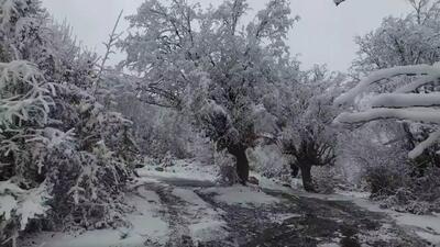  نمایی از زمستان برفی نهاوند در قاب دوربین شهروندخبرنگار + فیلم