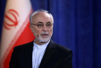  صالحی: نماد شیر و خورشید پرچم ایران متعلق به جمهوری اسلامی است