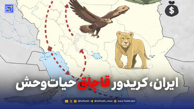  ایران، کریدور قاچاق حیات‌وحش