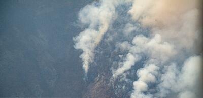  تغییر اقلیم چه بلایی سر جنگل‌ها می‌آورد؟