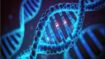  اوریگامی DNA، کلید نظم‌بخشی مولکولی در نیمه‌رساناهای دوبعدی