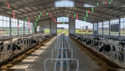  شوک تورمی در گاوداری‌های صنعتی؛ رشد ۶۴ درصدی قیمت‌ها در پاییز ۱۴۰۴