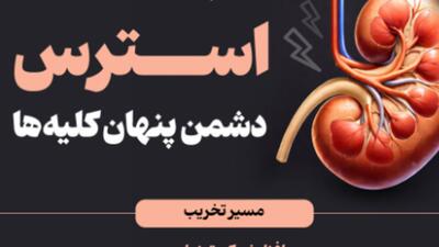  استرس؛ دشمن پنهان کلیه‌ها