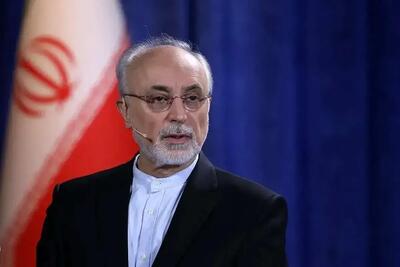  صالحی: علامت شیر و خورشید متعلق به جمهوری اسلامی ایران است