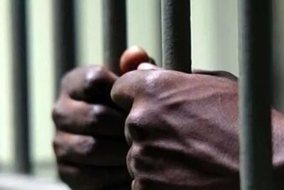  استرداد متهم کلاهبردار ۱۹۰۰ میلیارد ریالی به کشور