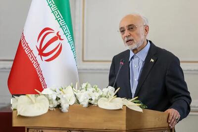  صالحی: مالکیت معنوی نماد شیر و خورشید متعلق به ایران است / تکلیف سیاست خارجی بعد از 47 سال هنوز روشن نیست