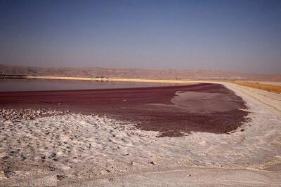  چاه‌های کشاورزی نفس تالاب مهارلو را بریدند