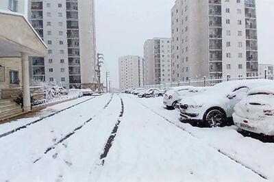  آغاز بارش برف در پردیس تهران