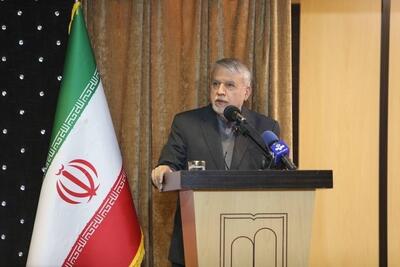  صالحی‌امیری: عبور از هر چالشی، در گرو انسجام ملی، سرمایه اجتماعی و کارآمدی است