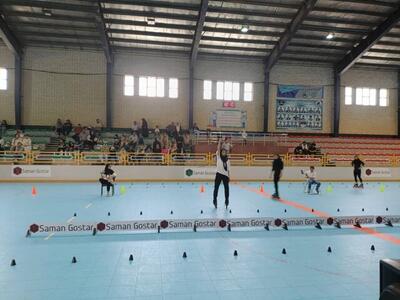  سرپرست فدراسیون اسکیت معرفی شد