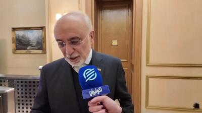  صالحی: جنگ بعید به نظر می‌رسد/ اگر بین ایران و آمریکا درگیری رخ دهد، عواقب آن برای هیچکس قابل پیش‌بینی نیست+ فیلم