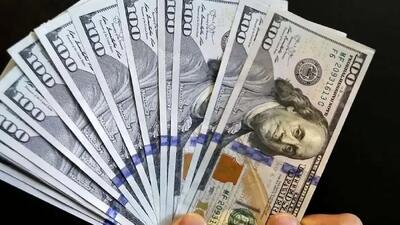  صفر تا صد درباره اثر حذف ارز ترجیحی بر بازار