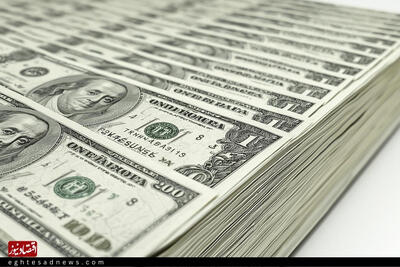  قیمت دلار حواله‌ای امروز یکشنبه ۱۹ بهمن 1404/کاهش قیمت