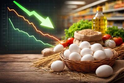  ارز ترجیحی رفت، بازار آرام شد/ تخم‌مرغ با ارز آزاد ارزان‌تر از دوران ارز ترجیحی