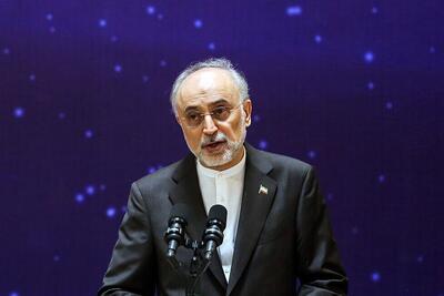  علی اکبر صالحی: بزرگ‌ترین چالش کشور در حوزه حکمرانی، تعیین تکلیف روابط بین‌الملل است/ بین آرمان‌های انقلاب و دستاوردهای آن فاصله وجود دارد