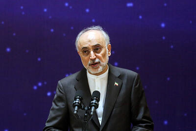  صالحی: علامت شیر و خورشید متعلق به ایران است