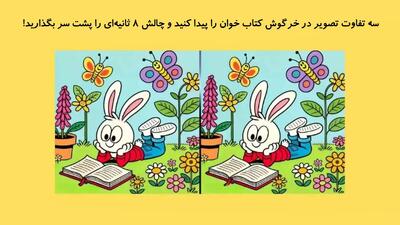  سه تفاوت تصویر در خرگوش کتاب خوان را پیدا کنید و چالش 8 ثانیه‌ای را پشت سر بگذارید!