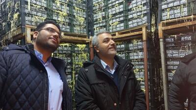  خرید بدون دغدغه مردم، با تامین کالاهای مورد نیاز در تره بارها