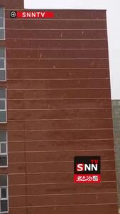  هم اکنون آغاز بارش برف در پردیس تهران + فیلم