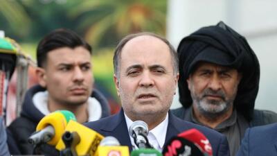  نوری‌قزلجه: توسعه گلخانه‌ها راهکار اساسی عبور از بحران آب است