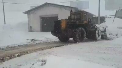  فیلم / بارش سنگین برف در هراز