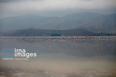  رشد ۱۰۵  درصدی بارش ها از نیمه دوم بهمن ماه