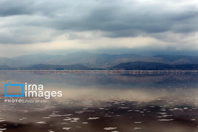  بارش ۷۵ تا ۱۰۰ میلیمتری در برخی حوضه‌های آبریز