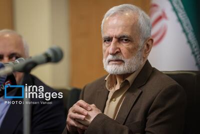  خرازی: در ارتباط با همسایگان، اشتباهات زیادی کردیم