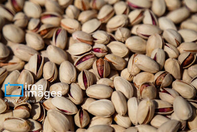  صادرات ۷۳۰ میلیون دلار پسته تا پایان آذرماه/ برآورد تولید ۳۰۰ هزار تن پسته در سال جاری