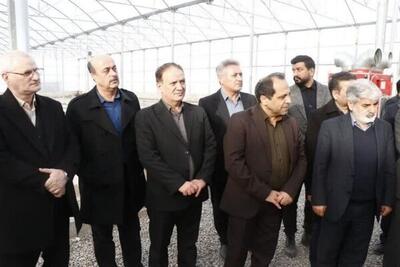  مدرن‌ترین گلخانه در پارس‌آباد افتتاح شد